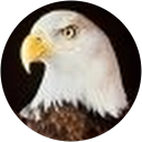 Stacie Foor profile picture