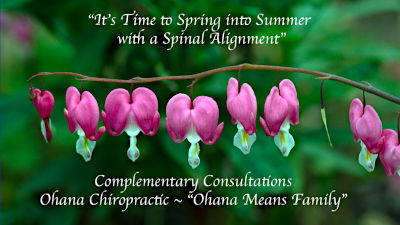 Complementary Consultation at Ohana Chiropractic